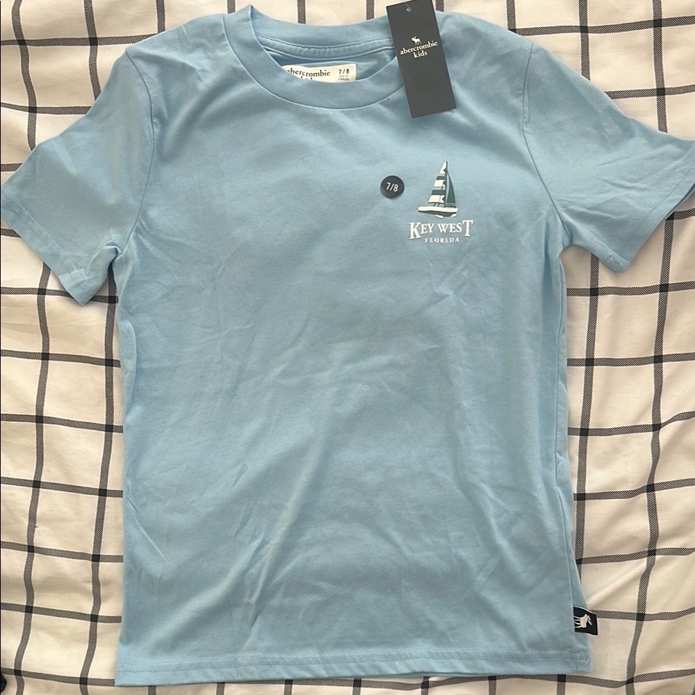 Abercrombie Blue Graphic T-Shirt